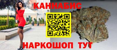 прущие грибы Заводоуковск