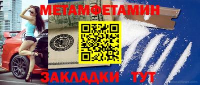 прущие грибы Заводоуковск