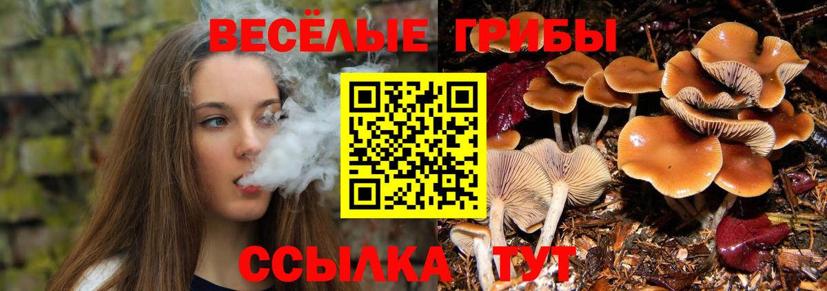 Псилоцибиновые грибы Magic Shrooms Назарово