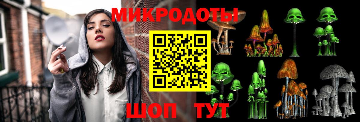 Псилоцибиновые грибы Cubensis  Вход с VPN  Назарово 